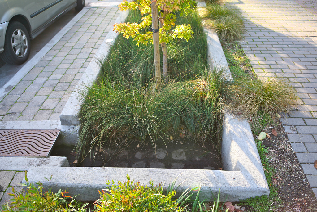 Water Infrastructure